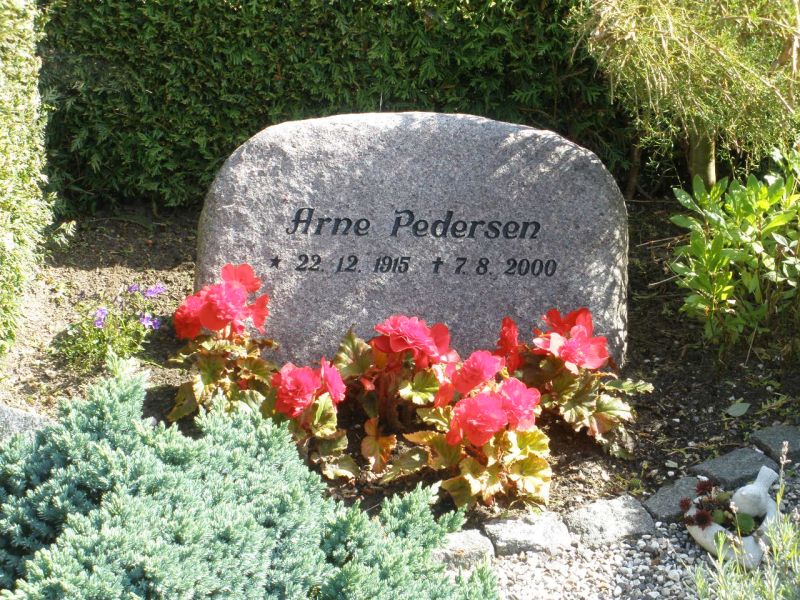 Arne Pedersen.JPG